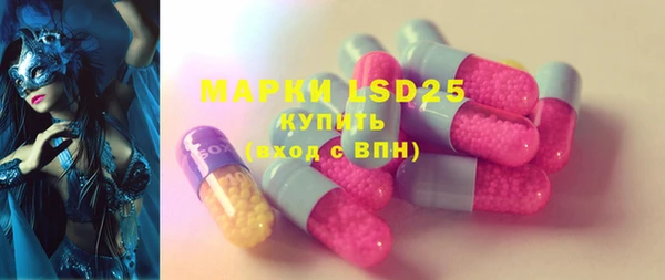 шишки Белоозёрский