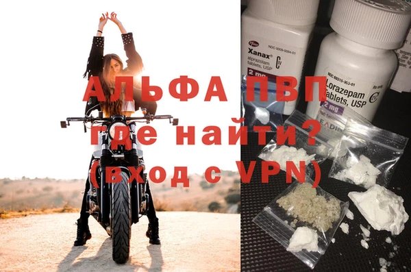 шишки Белоозёрский