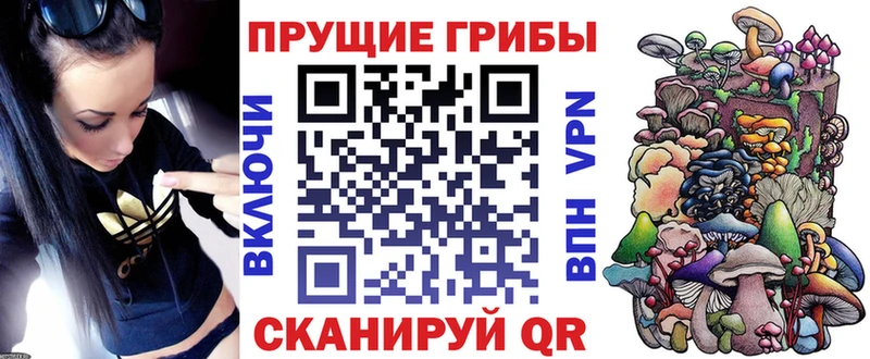 наркота  Гаврилов-Ям  Галлюциногенные грибы Psilocybe 
